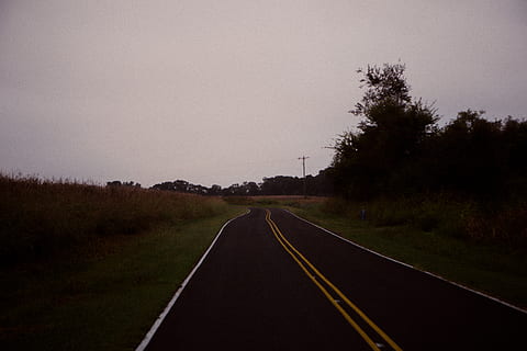 empty, road, nighttime, transportation, the way forward, direction, sky, sign, tree, plant, no people, symbol, road marking, nature, marking, diminishing perspective, vanishing point, outdoors, tranquility, environment, landscape, absence, dividing line, 5K, CC0, public domain, royalty free
