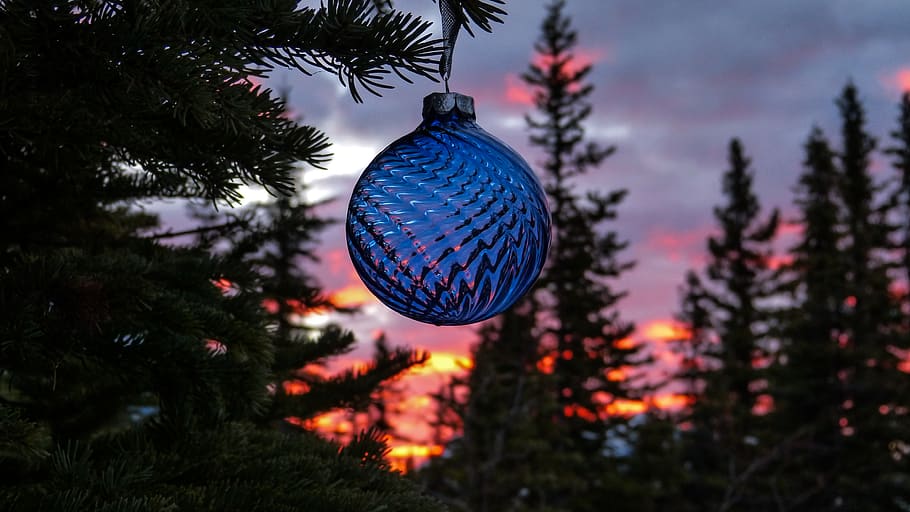 Canadà, canmore, arbre, decoració, planta, Nadal, decoració de Nadal, festa, arbre de Nadal, celebració, esfera, adorn de Nadal, centrar-se en primer pla, penjant, cap gent, naturalesa, il·luminat, primer pla, color verd, a l'aire lliure, nit, arbre de coníferes, 4K