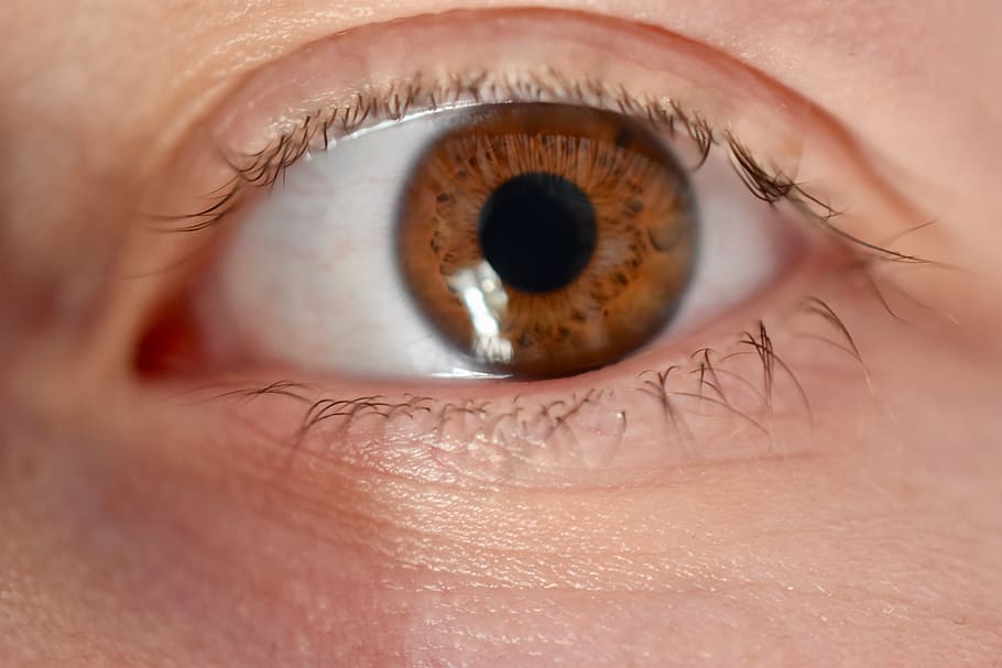 ull, marró, macro, iris, primer pla, ull humà, percepció sensorial, vista, part del cos humà, pestanya, una persona, part del cos, primer pla extrem, iris - ull, globus ocular, adult, mirant la càmera, retrat, bellesa, reflexió, mirant, dona guapa, parpella, cella, rostre humà, contemplació, 5K