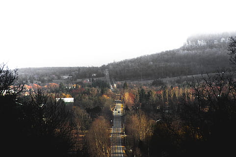 Milton, Canadà, continu, arbres, bosc, carretera, cotxes, alt, elevació, punt de serp de cascavell, llarg, arbre, planta, cel, arquitectura, naturalesa, exterior de l'edifici, estructura construïda, cap gent, vista d’angle alt, dia, boira, edifici, còpia espai, a l'aire lliure, escenics - natura, bellesa a la natura, ciutat, escena tranquil·la, 4K, CC0, domini públic, lliure de regalies