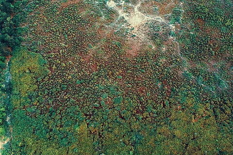 grünes Moos, Moos, Vollbild, Hintergründe, keine Leute, mehrfarbig, Nahansicht, Tag, texturiert, Muster, abstrakt, verwittert, Wandbau - Funktion, gebaute Struktur, draußen, Verschlechterung, die Architektur, heruntergewirtschaftet, Ablehnen, Rau, alt, Natur, abstrakte Hintergründe, Beton, Flechte, 4K, CC0, gemeinfrei, lizenzfrei