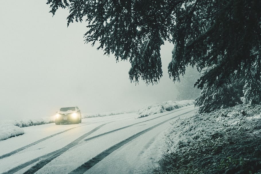 grigio, faro del veicolo acceso, natura, all'aperto, inverno, bufera di neve, tempesta, auto, veicolo, automobile, mezzi di trasporto, Sheridan, Stati Uniti d'America, tempo metereologico, ghiaccio, nebbia, bianca, natura selvaggia, albero, nordovest del Pacifico, Vintage ▾, verde, la neve, pianta, temperatura fredda, modo di trasporto, strada, veicolo terrestre, veicolo a motore, nessuno, giorno, copertura, scenics - natura, cielo, in movimento, bellezza nella natura, nevicando, 5K