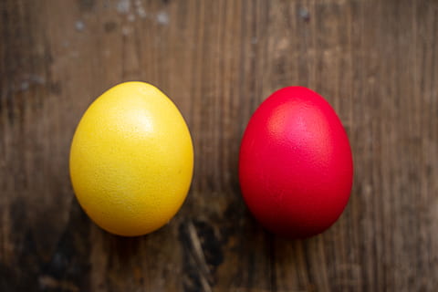 oua de Paste, Paști, galben, roșu, ou, colorat, culoare, primăvară, cuib de paste, alimente, ou de Paște, osterkorb, iepurașul de Paște, temă easter, oua de pui, decor de Paști, bine dispus, decoratiuni de Paști, Salutări de Paște, mânca, mancare si bautura, mâncat sănătos, prospeţime, lemn - material, fruct, bunăstare, a închide, în interior, masa, nici o persoana, natură moartă, două obiecte, direct deasupra, vegetal, să se concentreze asupra primelor elemente, patru obiecte, mancare cruda, copt, rumegus, 5K, CC0, domeniu public, fără drepturi de autor