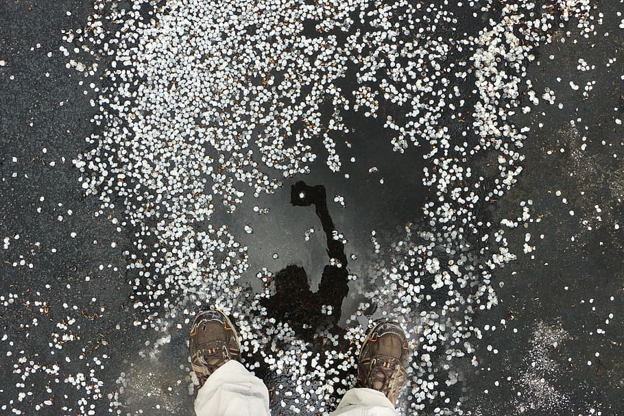 Selphie, Pfütze, Reflexion, Blütenblätter, Punkte, menschliches Körperteil, Körperteil, menschliches Bein, eine Person, niedriger Abschnitt, persönliche Perspektive, Schuh, Männer, direkt darüber, Stehen, Wasser, menschliches Glied, Natur, Gliedmaßen, Freizeitbeschäftigung, echte Menschen, Lebensstile, High Angle View, menschlicher Fuß, draußen, 5K