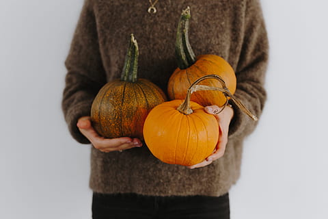 women, hands, sweater, holding, pumpkin, female, person, yellow, autumn, fall, orange, vegetable, halloween, food and drink, food, one person, celebration, healthy eating, orange color, front view, standing, midsection, freshness, hand, studio shot, agriculture, organic, jack o' lantern, 5K