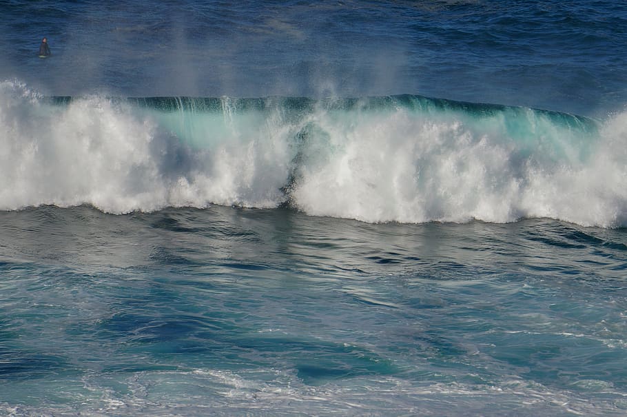 havbølger, udendørs, vand, ocean, natur, hav, tsunamien, grå, human, person, sport, surfing, ser tilbage, surfer, bølge, strand, kyst, surf, koralrev, hav liv, bevægelse, skønhed i naturen, scenics - natur, ingen mennesker, havnefronten, dag, strøm, magt i naturen, blå, sprøjt, vandsport, idyllisk, ikke-urbane scene, flydende vand, turkisfarvet, flyder, svømmepøl, 2K