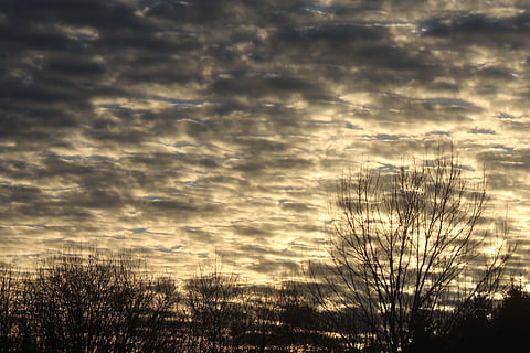 Sky, tyk, atmosfærisk, cloudscape, landskab, natur, grå, hvid, blå, himmel, sky - himmel, solnedgang, skønhed i naturen, ro, ingen mennesker, vækst, rolig scene, scenics - natur, plante, udendørs, silhuet, sollys, ikke-urbane scene, idyllisk, dramatisk himmel, miljø, jord, mørk, lyse, 5K, CC0, offentligt domæne, royaltyfrie