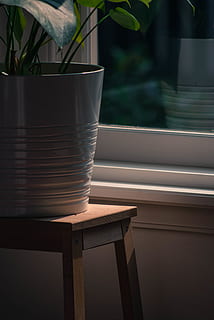 interiér, monstera, okno, rostlina, stůl, nikdo, Příroda, den, uvnitř, hrnkové rostliny, zaměřit se na popředí, detail, parapet, průhledný, sedadlo, sklo - materiál, dřevo - materiál, růst, slunečního světla, list, domácí rostlina, květináč, 4K, CC0, veřejná doména, bez autorských práv