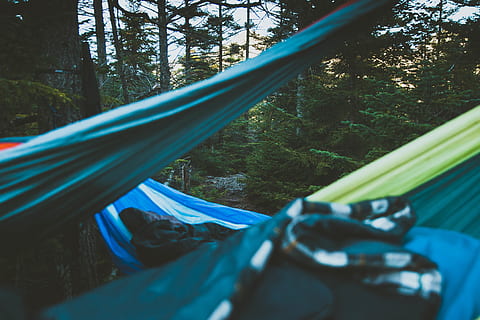 hammocking, riippumatto, Puut, puu, kasvi, metsä, kuljetus, päivä, maa, luonto, kuljetustapa, valikoiva tarkennus, ulkona, kasvu, lähikuva, ei ihmisiä, sininen, maa-ajoneuvo, matkustaa, heijastus, seikkailu, 4K, CC0, public domain, rojaltivapaa