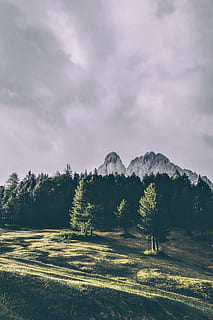 alberi verdi, natura, montagna, picco, foresta, verde, all'aperto, paesaggio, bosco, legna, pendio, collina, campo, nuvoloso, nube, sole, estate, albero, Paesaggi, nuvola - cielo, cielo, prato, picco di montagna, erba, scena rurale, Alpi europee, nessuno, dolomiti, colore verde, bellezza nella natura, Italia, viaggio, blu, Cloudscape, autunno, roccia - oggetto, catena montuosa, Europa, 5K, CC0, dominio pubblico, privo di copyright