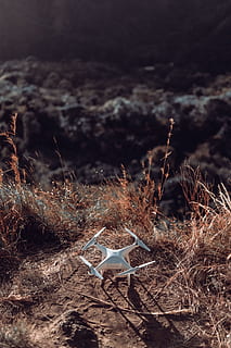 white, drone quad copter, grass field, camera, dji, drone, grass, Montana, nature, plant, land, no people, cloud - sky, day, sky, outdoors, field, tree, high angle view, environment, beauty in nature, sunlight, selective focus, landscape, non-urban scene, tranquility, growth, 5K, CC0, public domain, royalty free