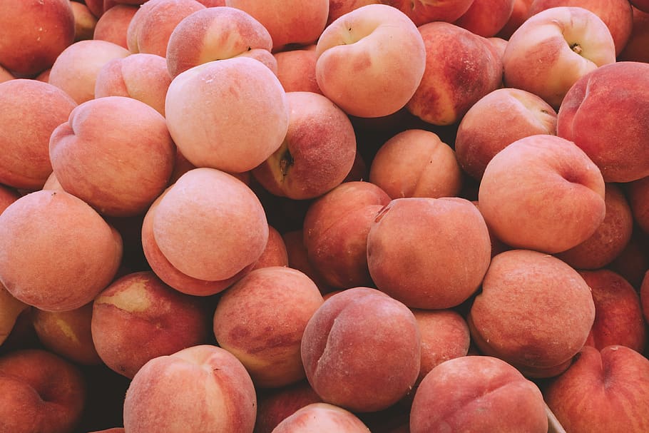 préssecs de color taronja, planta, menjar, fruita, préssec, produir, albercoc, pruna, caqui, melmelada, botiga de queviures, botiga, estovalles, bol, puré de patates, meló, fig, Magrana, ocell, lloro gris africà, lloro, alimentació saludable, menjar i beguda, marc complet, frescor, benestar, gran grup d'objectes, fons, abundància, mercat, a la venda, cap gent, natura morta, vermell, venda al detall, primer pla, Paradeta, Munt, venda, madur, 4K