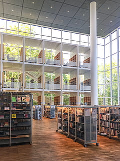edificio della biblioteca, mensola, in casa, biblioteca, Svezia, Malmö, biblioteca della città di Malmö, camera, macchina, luce, finestre, libri, libro, mobilia, interior design, pavimentazione, libreria, legno duro, legna, ristorante, caffetteria, assenza, nessuno, attività commerciale, finestra, giorno, architettura, vetro - materiale, tavolo, posto a sedere, di fila, cibo e bevande, contenitore, bottiglia, sedia, trasparente, bancone da bar, soffitto, 4K, CC0, dominio pubblico, privo di copyright
