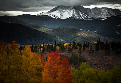 foncé, ciel, des nuages, Montagne, vallée, paysage, la nature, les plantes, des arbres, forêt, l'automne, tomber, paysages - nature, beauté dans la nature, arbre, plante, chaîne de montagnes, terre, personne, environnement, scène tranquille, tranquillité, scène non urbaine, nuage - ciel, montagne au sommet enneigé, changement, sommet de la montagne, collection d'automne, conifère, formation, 5K, CC0, domaine public, libre de droits