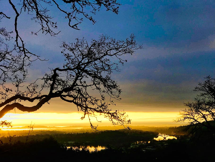 Willamette River, Himmel, Sonnenuntergang, Schönheit in der Natur, Baum, Silhouette, Pflanze, ruhige Szene, Szenen - Natur, wolke - himmel, Ruhe, orange Farbe, idyllisch, keine Leute, Natur, Dramatischer Himmel, Nicht-städtische Szene, Ast, Landschaft, draußen, Umgebung, romantischer Himmel, 4K