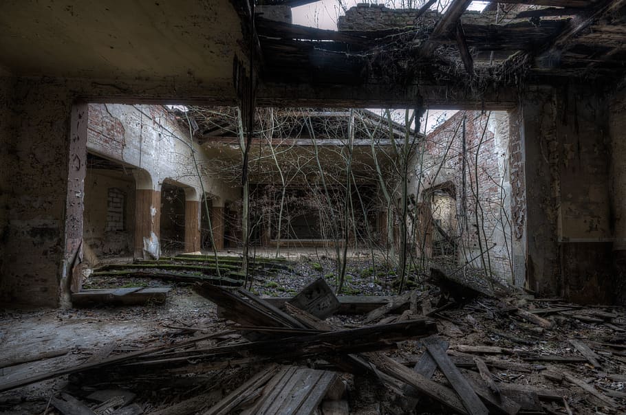 nua, arbres, endins, abandonat, edifici, espatllat, arquitectura, obsoleta, aixafar, a l'interior, estructura construïda, mal estat, destrucció, vell, arruïnat, trencat, cap gent, declivi, resistent, desordenat, deteriorament, material de fusta, casa, brut, demolida, sostre, col·lapsant, trencament, 4K