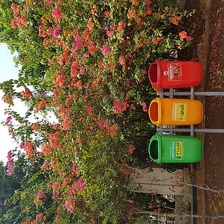tre, assorterede farveskuffer, jakarta, indonesien, plante, Lysthuset, have, udendørs, blomstre, blomst, natur, tin, træ, kan, nåletræ, skraldespand, genbruge, blomster, miljø, ren, beholder, planter, vækst, meddelelse, ingen mennesker, dag, skilt, blomstrende plante, tekst, rød, grøn farve, vejledning, friskhed, vestlige script, vej, arkitektur, vejskilt, 2K, CC0, offentligt domæne, royaltyfrie