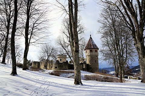 inverno, neve, frio, árvore, geada, temporada, panorama, clima, natureza, parque, gelo, viagem, castelo, outono, tuttlingen, Alemanha, floresta, Colina, montanha, branco, tarde, caminhar, arte, cultura, festival, família, criança, mãe, pai, cão, feliz, afiando montanha, afiando castelo, contos de fadas, Igreja, religião, católico, esporte, lugares de interesse, Férias, feriados, Mais, descansar, Diversão, animal, humano, torre, defesa, construção, centro depois, céu, relaxamento, turismo, Europa, casa, riqueza, posse, reino, Império, luxo, castelo de fadas, floresta de conto de fadas, Magia, temperatura fria, estrutura construída, arquitetura, exterior do edifício, plantar, local de culto, crença, árvore nua, espiritualidade, ninguém, cobertura, ao ar livre, 5K, CC0, domínio público, royalty free