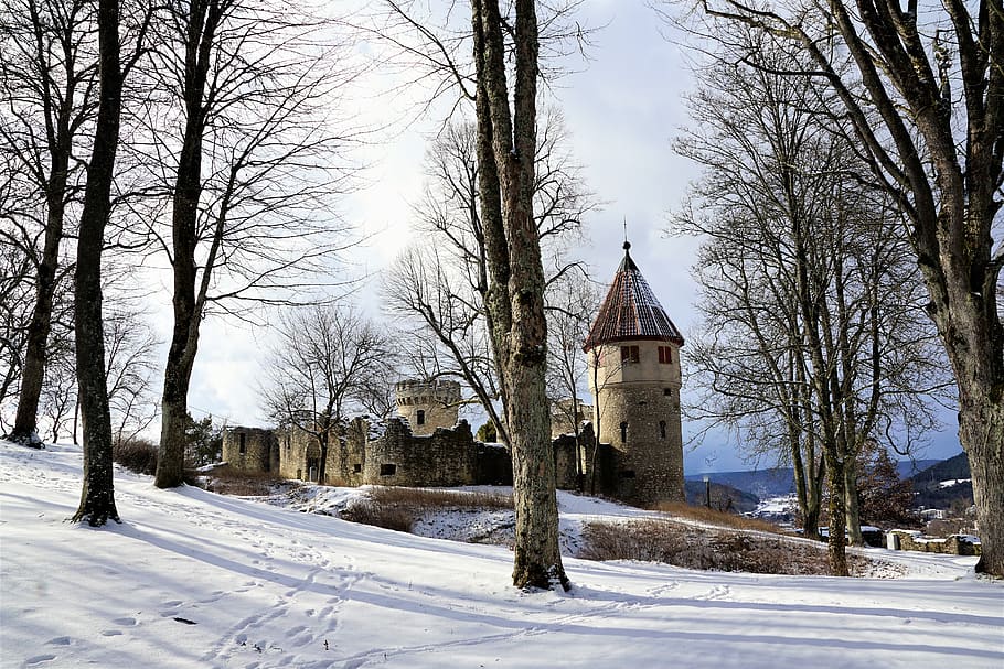 hivern, neu, fred, arbre, gelades, temporada, paisatge, temps, naturalesa, parc, gel, viatjar, castell, tardor, tuttlingen, Alemanya, bosc, turó, muntanya, blanc, tarda, caminada, art, cultura, Festival, família, nen, mare, pare, gos, feliç, honing mountain, castell d’honoratge, contes de fades, Església, religió, catòlic, esport, caminar, llocs d'interès, vacances, més, descans, diversió, animal, humà, torre, defensa, construcció, centre més tard, cel, relaxació, turisme, europa, casa, riquesa, possessió, regne, imperi, luxe, castell de fades, bosc de conte de fades, màgia, temperatura de fred, estructura construïda, arquitectura, exterior de l'edifici, planta, lloc de culte, creença, arbre nu, espiritualitat, edifici, cap gent, cobertura, a l'aire lliure, 5K