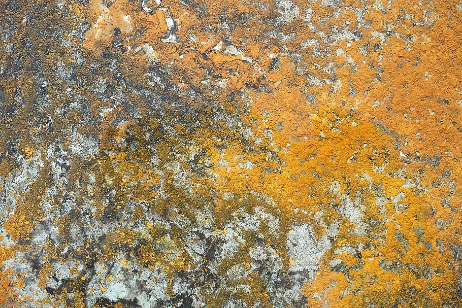 rust, mønster, orange, henfald, struktur, overflade, tapet, baggrund, fuld ramme, baggrunde, tekstureret, forvitret, ingen mennesker, ru, murbygningsfunktion, tæt på, dag, orange farve, rusten, metal, nedgang, forringelse, kørt ned, skrælle af, gammel, dårlig stand, beskadiget, udendørs, beton, lichen, 5K