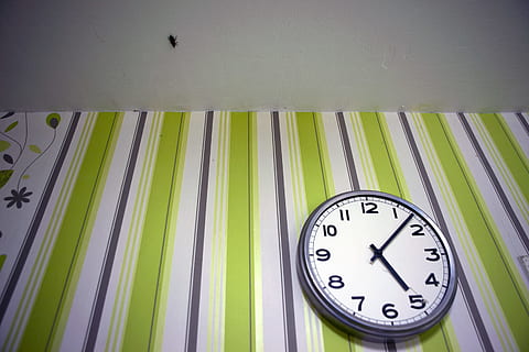 error, la panerola, rastreig, crawly, criatura, horripilant, data límit, brut, insecte, babau, calendari, temps, rellotge, verd, nombre, a l'interior, negocis, cap gent, ratlles, negoci corporatiu, funció de construcció de parets, Finances, instrument del temps, oficina, sol objecte, precisió, grup d'objectes, urgència, estils de vida, comprovant l’hora, Minuta, 720P, CC0, domini públic, lliure de regalies