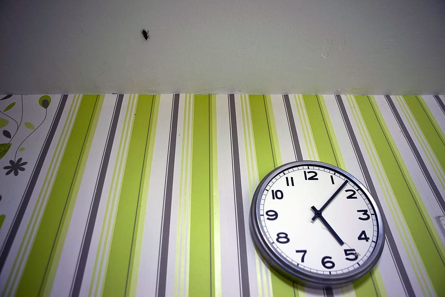 error, la panerola, rastreig, crawly, criatura, horripilant, data límit, brut, insecte, babau, calendari, temps, rellotge, verd, nombre, a l'interior, negocis, cap gent, ratlles, negoci corporatiu, funció de construcció de parets, Finances, instrument del temps, oficina, sol objecte, precisió, grup d'objectes, urgència, estils de vida, comprovant l’hora, Minuta, 720P