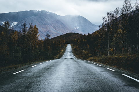 empty, road, daytime, direction, mountain, the way forward, transportation, beauty in nature, tree, mountain range, scenics - nature, plant, diminishing perspective, no people, nature, tranquil scene, non-urban scene, tranquility, day, empty road, sky, outdoors, snowcapped mountain, 5K, CC0, public domain, royalty free