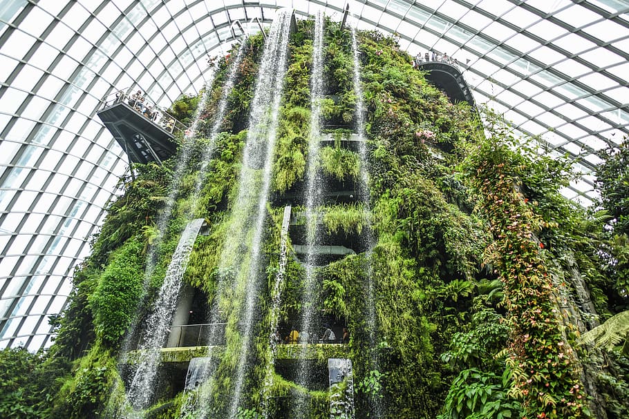 plantes amb fulles verdes, bosc de núvols, edifici, planta, Singapur, cascada, verd, torre, gent, blanc, jardins a la badia, gris, arquitectura, claraboia, finestra, terra, a l'aire lliure, flora, arbre, bosc, vegetació, vista d’angle baix, creixement, dia, naturalesa, estructura construïda, hivernacle, color verd, moviment, cap gent, Font, aigua, bellesa a la natura, moviment borrós, botànica, fumigació, viver de plantes, aigua que flueix, 5K