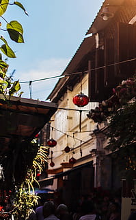 lanterna rossa, persona, umano, uccello, animale, lanterna, lampada, pianta, mattone, veranda, vaso, ceramica, pianta in vaso, costruzione, urbano, Quartiere, luce, Festival, folla, piantatore, esterno dell'edificio, struttura costruita, architettura, natura, cielo, Inquadratura dal basso, decorazione, sospeso, giorno, città, fiore, all'aperto, albero, nessuno, concentrarsi sulle conoscenze acquisite, celebrazione, pianta fiorita, lanterna cinese, 5K, CC0, dominio pubblico, privo di copyright