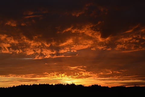 els raigs del sol, núvols, retroil·luminat, contrast, fosc, alba, la llum del dia, dramàtica, paisatge, llum, humor, naturalesa, cel, sol, arbres, núvol - cel, bellesa a la natura, posta de sol, escenics - natura, silueta, tranquil·litat, escena tranquil·la, color taronja, arbre, cel dramàtic, idíl·lic, cap gent, medi ambient, escena no urbana, planta, por, a l'aire lliure, 5K, CC0, domini públic, lliure de regalies