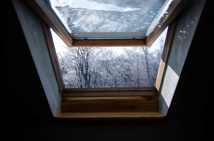 Åbn vinduesglas, vindue, glas - materiale, ingen mennesker, indendørs, træ, himmel, dag, natur, bare træ, gennemsigtig, plante, sne, træ - materiale, sky - himmel, lav vinkel visning, vinter, arkitektur, kold temperatur, vinduesramme, 4K