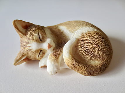 cat, object, nap, one animal, animal themes, animal, mammal, pets, domestic, domestic animals, domestic cat, feline, indoors, studio shot, sleeping, no people, vertebrate, relaxation, close-up, resting, high angle view, lying down, whisker, 2K, CC0, public domain, royalty free