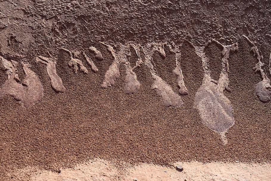 brauner Sand, Boden, Sand, Archäologie, Wüste, Teppich, nasser Strand, Sandstrand, sandig, Muster, sahara, Regen, nasser Sand, draußen, Natur, Fossil, Fußabdruck, Grabstein, Grab, Freizeitaktivitäten, keine Leute, Tag, Land, Text, Nahansicht, Wandbau - Funktion, braun, westliche Schrift, Sonnenlicht, Vollbild, Kommunikation, High Angle View, direkt darüber, Tier, Kunst und Handwerk, Kreativität, Hintergründe, 5K