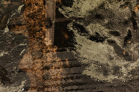 brown soil, outdoors, nature, landscape, scenery, architecture, tower, building, steeple, spire, plant, walloper× wallpaper× background× griffite× design× water× dirtywater× background picture× top ten× color× colorcombination× inspiration× pattern× mixedcolor× ground× water base× fountain× sand× sand and water× underwater× sea× under sea× sea life× swimming× ston× stone× stonier water× gold water× green water× brown water× clean water× color water× blue water×, ice, tree, aerial view, flagstone, apparel, clothing, flare, light, asphalt, no people, water, full frame, day, reflection, old, weathered, backgrounds, textured, built structure, close-up, decline, deterioration, waterfront, 2K, CC0, public domain, royalty free