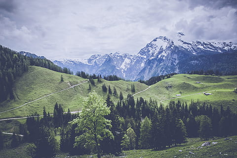 dennenboom, sneeuw, bedekt, bergfoto, wolken, koude, landschap, bergketen, bergen, natuur, toneel-, bomen, scenics - natuur, schoonheid in de natuur, fabriek, berg-, rustige scène, kalmte, boom, milieu, wolk - lucht, hemel, groene kleur, niet-stedelijke scène, geen mensen, land-, groei, idyllisch, gras, buitenshuis, met sneeuw bedekte berg, naaldboom, 5K, CC0, publiek domein, royaltyvrij