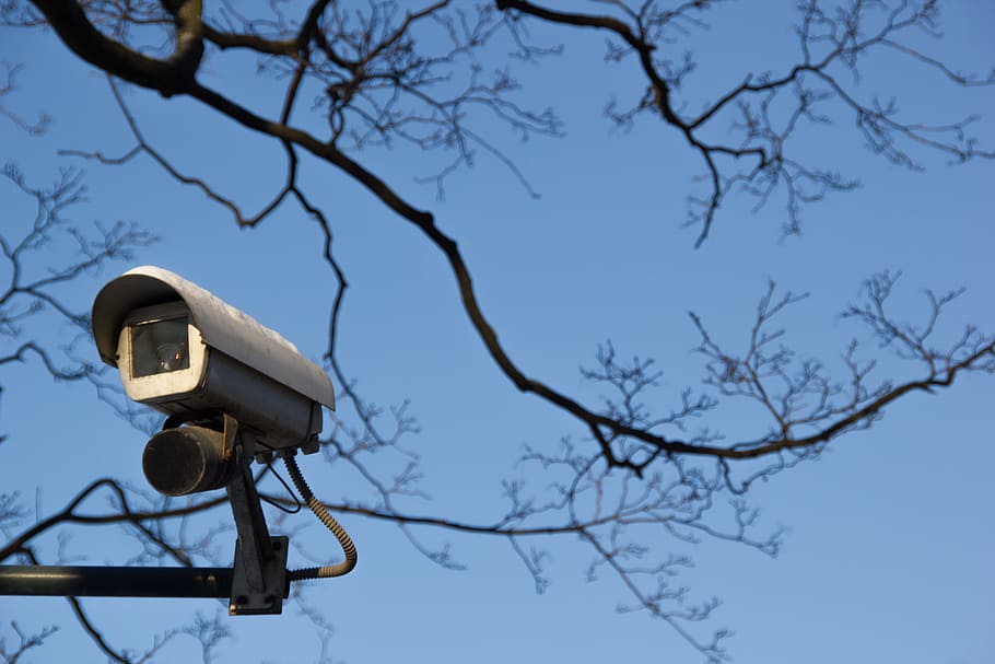 segur, protegir, CCTV, guàrdia, blau, registre, electrònica, cel, vídeo, branca, càmera, detectar, inspeccionar, negre, seguretat, vista d’angle baix, tecnologia, arbre, càmera de seguretat, vigilància, cap gent, càmera - equip fotogràfic, naturalesa, a l'aire lliure, equips d’il·luminació, arbre nu, dia, temes de fotografia, carrer, cel clar, llum, càmera de vídeo domèstica, 2K
