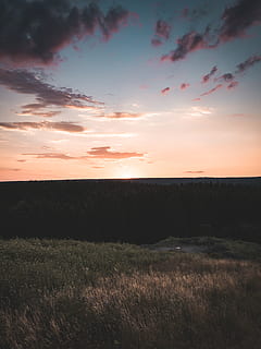 panoramic, photo, plains, sunrise, backlit, beautiful, clouds, cropland, dawn, environment, evening, fair weather, forest, golden hour, grass, landscape, nature, scenic, sky, trees, sunset, scenics - nature, tranquility, beauty in nature, tranquil scene, cloud - sky, land, field, plant, no people, horizon, non-urban scene, idyllic, horizon over land, outdoors, 4K, CC0, public domain, royalty free