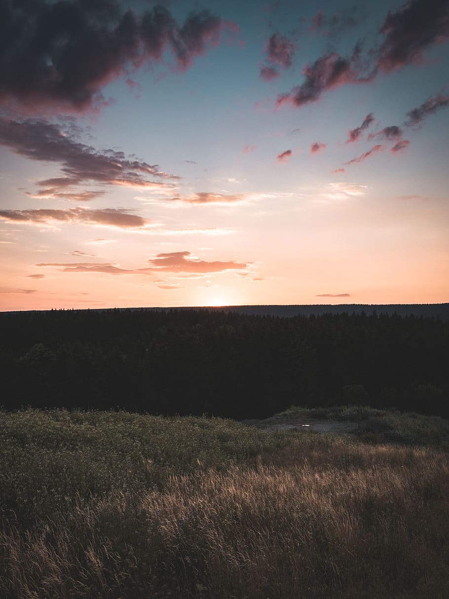 panoràmica, foto, planes, sortida del sol, retroil·luminat, bonic, núvols, terres de cultiu, alba, medi ambient, tarda, bon temps, bosc, hora daurada, herba, paisatge, naturalesa, escènic, cel, arbres, posta de sol, escenics - natura, tranquil·litat, bellesa a la natura, escena tranquil·la, núvol - cel, terra, camp, planta, cap gent, horitzó, escena no urbana, idíl·lic, horitzó sobre la terra, a l'aire lliure, 4K