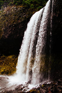 cascades, a l'aire lliure, aigua, riu, naturalesa, cascada, cau tamanawas, Estats Units, rock, cau, caverna, bosc, vista, de fulla perenne, blanc, darrere, a través del vel, costat, vista lateral, magnífic, enorme, moviment, bellesa a la natura, escenics - natura, aigua que flueix, exposició llarga, moviment borrós, cap gent, arbre, dia, poder a la natura, poder, velocitat, planta, que flueix, caient aigua, 5K, CC0, domini públic, lliure de regalies