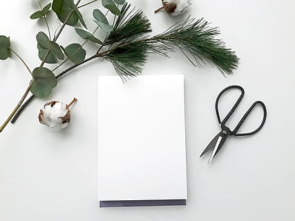 zbraně, nůžky, čepel, zbraň, rostlina, umění, květ, bavlna, typografie, design, handlettering, kaligrafie, moderní kaligrafie, moderní nápisy, eukalyptu, rukopis, štětec nápisy, ruční, jídlo, uvnitř, nikdo, bílá barva, rostlinné části, savec, list, přímo nad, zvíře, zvířat, Příroda, stálý život, zelená barva, stůl, bílé pozadí, domácí, jednoho zvířete, papír, rezervovat, vysoký úhel pohledu, 4K, CC0, veřejná doména, bez autorských práv