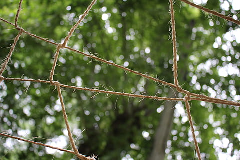Baum, Seil, Himmel, Wolken, Natur, die Architektur, Netzwerk, Mesh, Fokus auf den Vordergrund, Pflanze, Flachwinkelansicht, keine Leute, Tag, Nahansicht, Wachstum, draußen, Land, Wald, grüne Farbe, Schönheit in der Natur, Kabel, Verbindung, Schutz, selektiver Fokus, nass, Regen, 5K, CC0, gemeinfrei, lizenzfrei