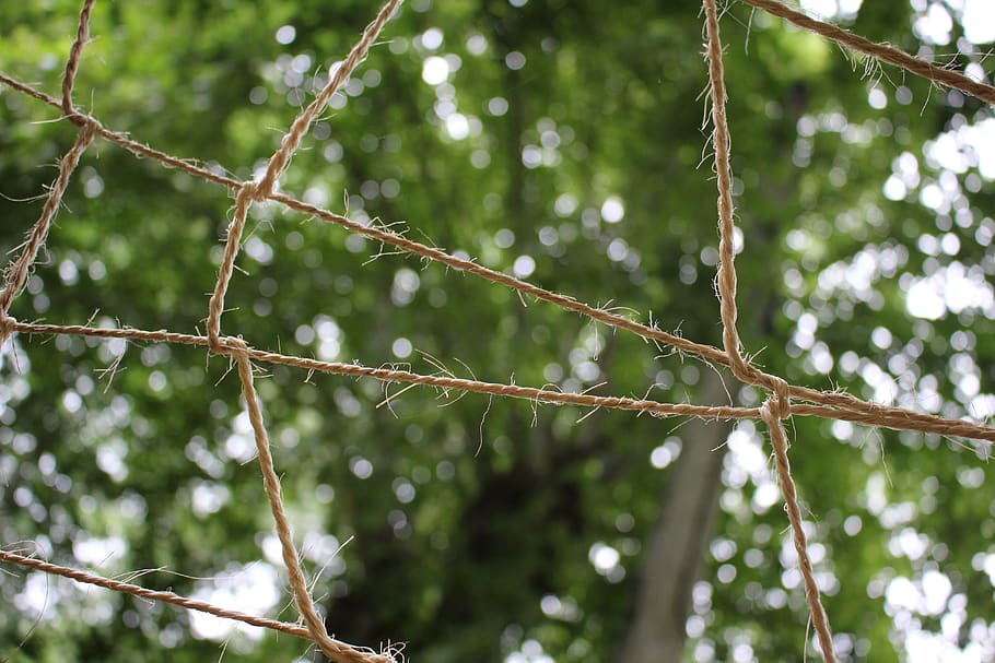 Baum, Seil, Himmel, Wolken, Natur, die Architektur, Netzwerk, Mesh, Fokus auf den Vordergrund, Pflanze, Flachwinkelansicht, keine Leute, Tag, Nahansicht, Wachstum, draußen, Land, Wald, grüne Farbe, Schönheit in der Natur, Kabel, Verbindung, Schutz, selektiver Fokus, nass, Regen, 5K