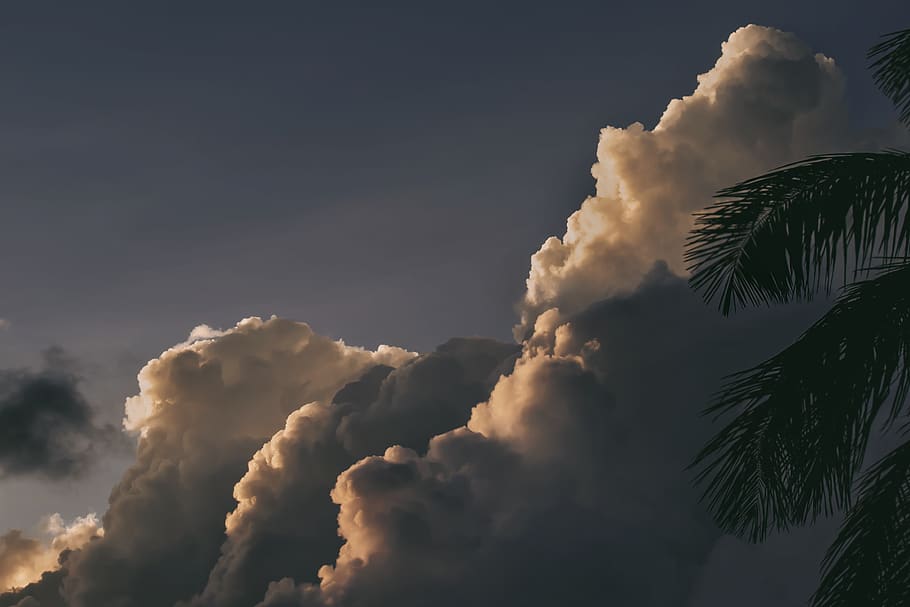 núvols nimbus, naturalesa, temps, núvol, cel, a l'aire lliure, Cúmulus, llum, flamarada, playa del carmen, mexicà, Palmera, tempesta, silueta, terra, ennuvolat, cloudscape, núvol de tempesta, núvols tempestuosos, astronomia, univers, núvol - cel, bellesa a la natura, vista d’angle baix, escenics - natura, cap gent, clima tropical, tranquil·litat, escena tranquil·la, arbre, dia, planta, còpia espai, llum solar, idíl·lic, posta de sol, fulla de palma, 8K