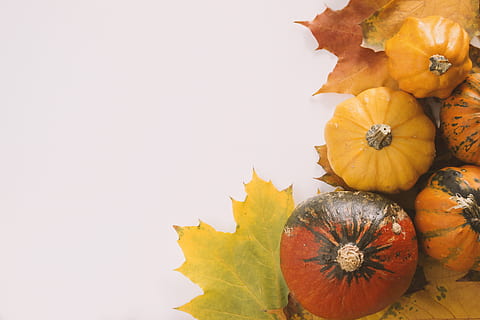 pumpkins, white, background, autumn, leaves, food and drink, pumpkin, food, healthy eating, copy space, vegetable, studio shot, orange color, freshness, wellbeing, fruit, nature, halloween, no people, still life, indoors, celebration, backgrounds, multi colored, maple leaf, ripe, 4K