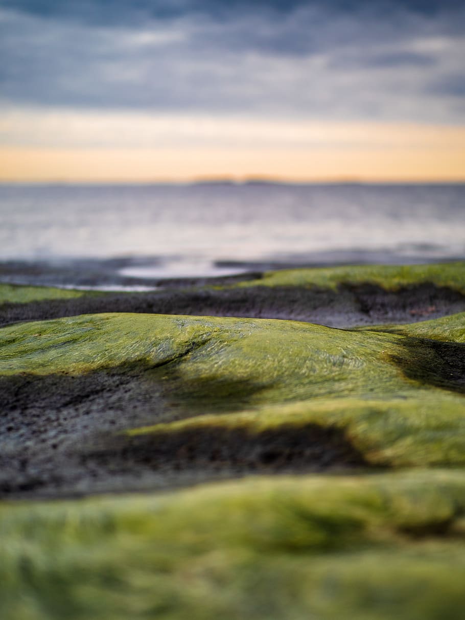 Grün, Gras, grau, Himmel, Schönheit in der Natur, Szenen - Natur, keine Leute, Ruhe, Natur, Wasser, selektiver Fokus, Moos, grüne Farbe, Pflanze, Land, ruhige Szene, Meer, Sonnenuntergang, Tag, Strand, wolke - himmel, draußen, Oberflächenniveau, 4K