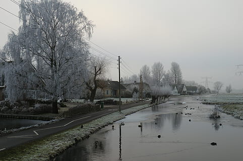 Winterlandschaft, Winter, Polder, kalt, gefroren, Bäume, Nebel, Eis, Niederländisch, Wasser, Baum, Himmel, kalte Temperatur, Natur, Pflanze, die Architektur, Schnee, gebaute Struktur, Gebäudehülle, kahler Baum, Gebäude, keine Leute, Reflexion, Tag, draußen, Kanal, Regen, 4K, CC0, gemeinfrei, lizenzfrei