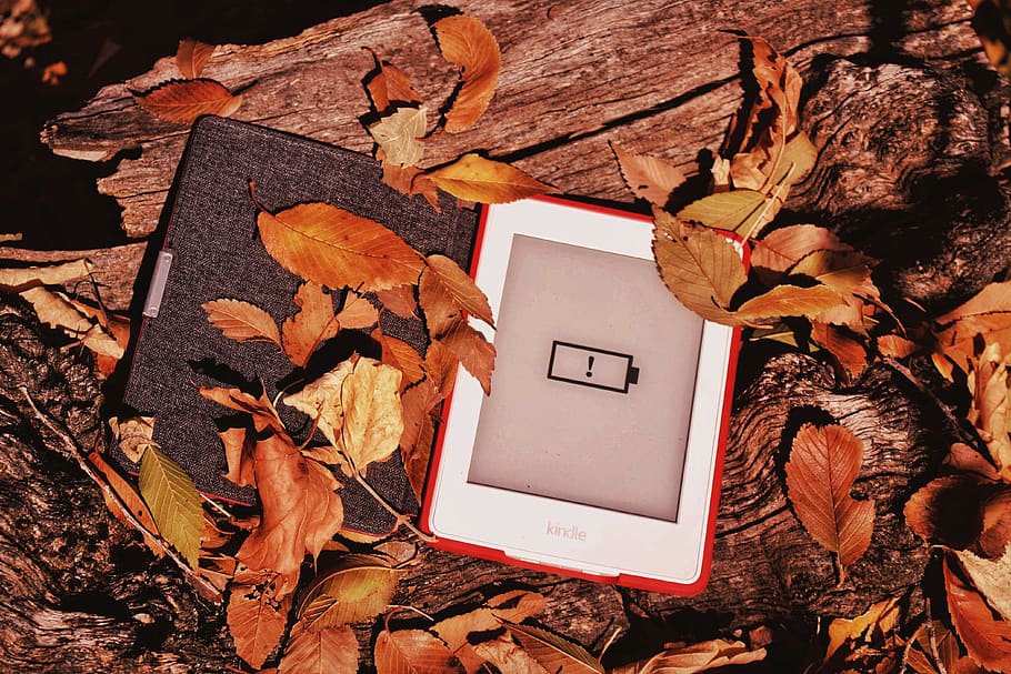 hvid, amazon, kindle, eBogs læser, blad, plante del, natur, efterår, blade, ingen mennesker, direkte over, træ - materiale, plante, jord, udendørs, træ, lave om, Skov, tæt på, offentliggørelse, papir, emotion, meddelelse, dag, blank, 4K