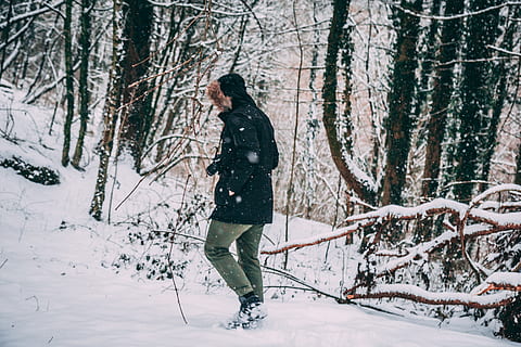 foto, persoon, besneeuwd, Bos, takken, koude, milieu, zing, vorst, ijzig, ijzig weer, bevroren, ijs-, man, natuur, kleding, seizoen, sneeuw, sneeuwvlok, sneeuwen, bomen, weer, winter, bossen, koude temperatuur, boom, land-, echte mensen, een persoon, fabriek, warme kleding, vrijetijdsbesteding, levensstijlen, volledige lengte, boomstam, romp, zijaanzicht, veld-, buitenshuis, bos-, extreem weer, 5K, CC0, publiek domein, royaltyvrij