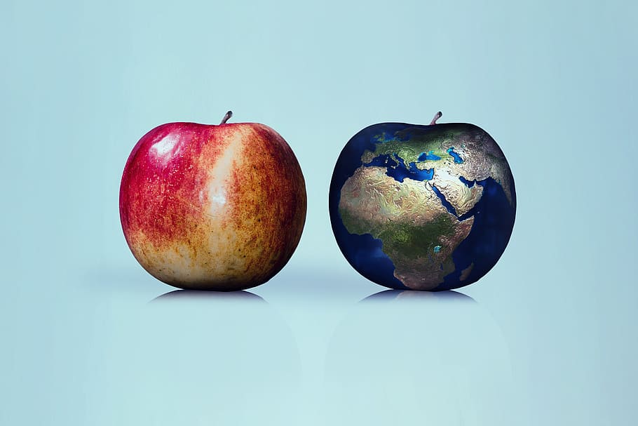 poma, terra, globus, comparació, naturalesa, renovable, endavant, ecologia, símbol, medi ambient, conservació de la natura, protecció ambiental, responsabilitat, pensar, Pol · lució, protecció del clima, món, alimentació saludable, tir de l'estudi, benestar, fruita, menjar, menjar i beguda, fruita de poma, frescor, a l'interior, natura morta, fons de colors, blau, cap gent, fons blau, primer pla, dos objectes, vermell, tallar, fons blanc, temptació, color turquesa, 5K