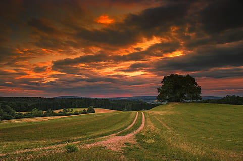 Antenne, Fotografie, Grün, Felder, Wolken, wolkig, Dämmerung, Feld, Wald, goldene Stunde, Gras, idyllisch, Land, Landschaft, Natur, Weide, Pfad, Weg, friedlich, szenisch, Himmel, Sonnenaufgang, Sonnenuntergang, still, Bäume, wolke - himmel, Szenen - Natur, Schönheit in der Natur, Umgebung, ruhige Szene, Ruhe, orange Farbe, keine Leute, Pflanze, Nicht-städtische Szene, Baum, draußen, 5K, CC0, gemeinfrei, lizenzfrei